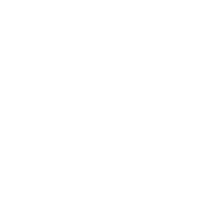CEVF